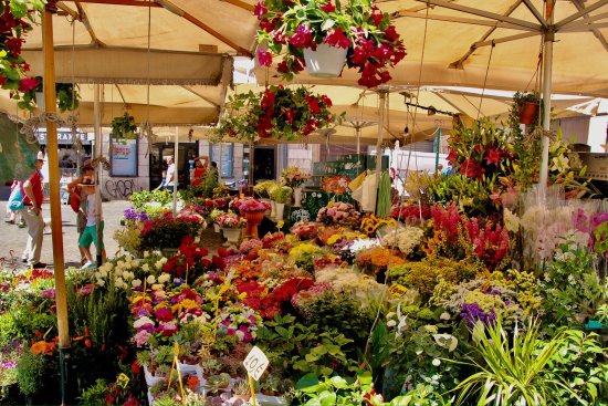 Avviso per manifestazione interesse ad organizzare mercatino fiori